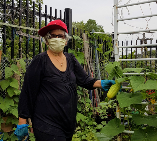 North York Food Security Cluster